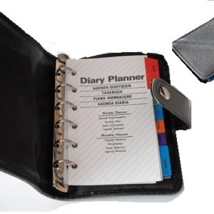 ladies diary planner