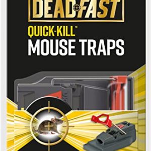 Deadfast Quick Kill Mouse Trap, Twin Pack - Black